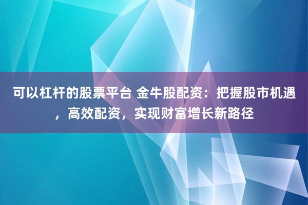 可以杠杆的股票平台 金牛股配资：把握股市机遇，高效配资，实现财富增长新路径