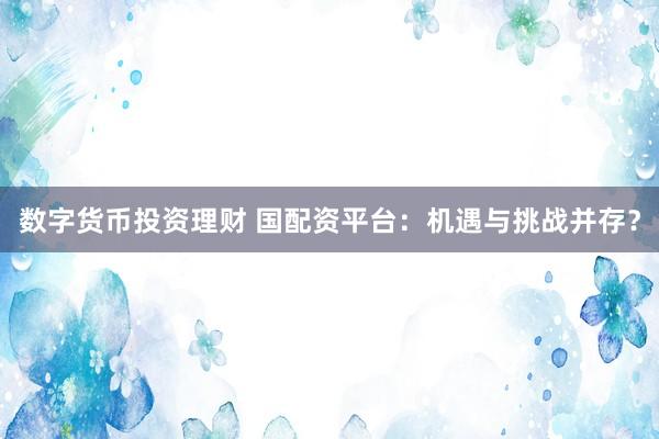 数字货币投资理财 国配资平台：机遇与挑战并存？
