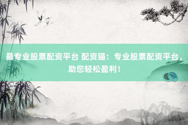 最专业股票配资平台 配资猫：专业股票配资平台，助您轻松盈利！