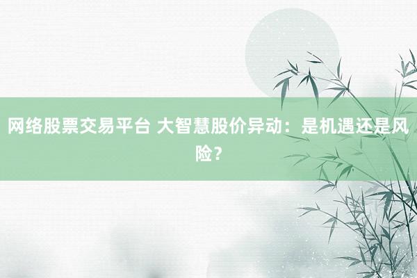 网络股票交易平台 大智慧股价异动：是机遇还是风险？