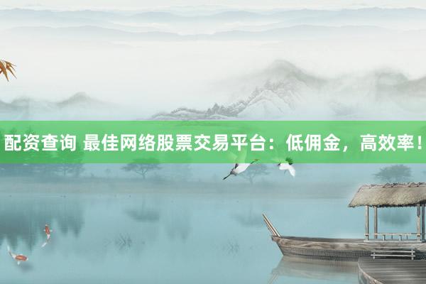 配资查询 最佳网络股票交易平台：低佣金，高效率！