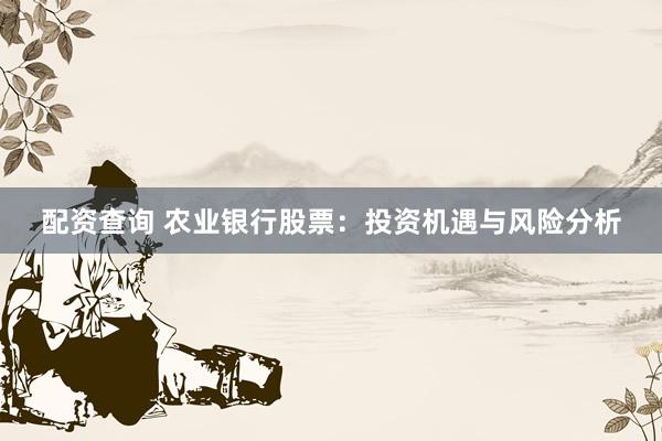 配资查询 农业银行股票:投资机遇与风险分析