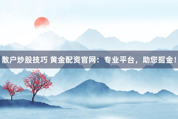 散户炒股技巧 黄金配资官网:专业平台,助您掘金!