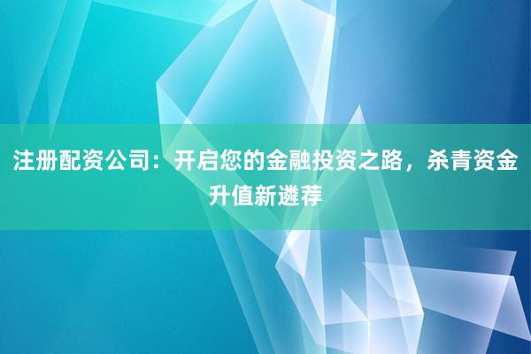 注册配资公司:开启您的金融投资之路,杀青资金升值新遴荐