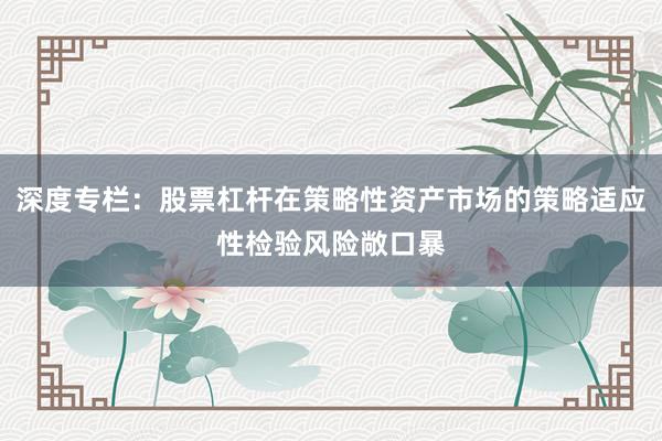 深度专栏:股票杠杆在策略性资产市场的策略适应性检验风险敞口暴