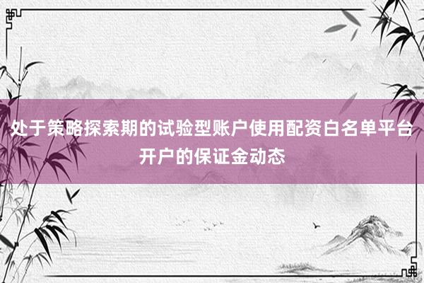 处于策略探索期的试验型账户使用配资白名单平台开户的保证金动态