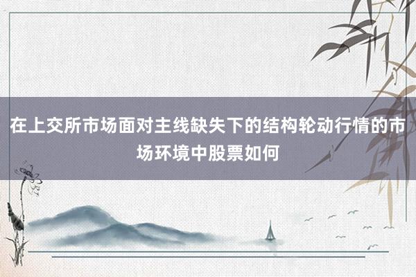 在上交所市场面对主线缺失下的结构轮动行情的市场环境中股票如何