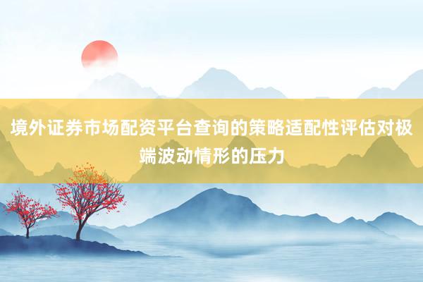 境外证券市场配资平台查询的策略适配性评估对极端波动情形的压力